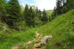 2014-07-05_Laengental-N-Hochweg (537). JPG